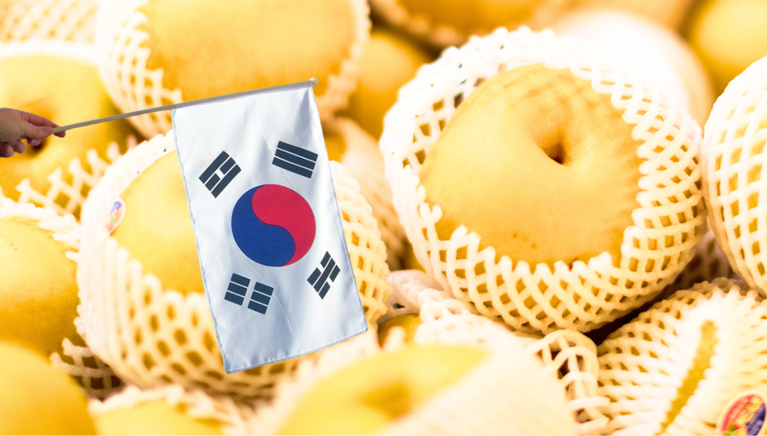 What Is Korean Pear Juice and Why Is It Trending in Functional Beverages?